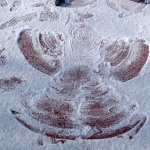 phoca_thumb_m_andlci 2 Fotogalerie